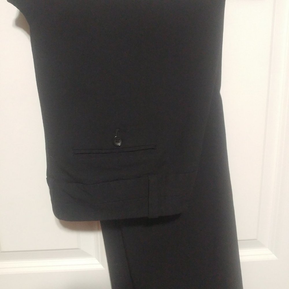 The Limited Exact Stretch pants